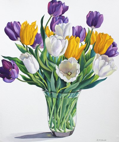 Tulips in Glass Vase by Unbekannt Unbekannt